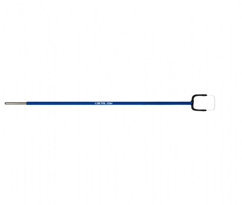 ELETRODOS PARA CAF ( LEEP ) LOKTAL WAVETRONIC